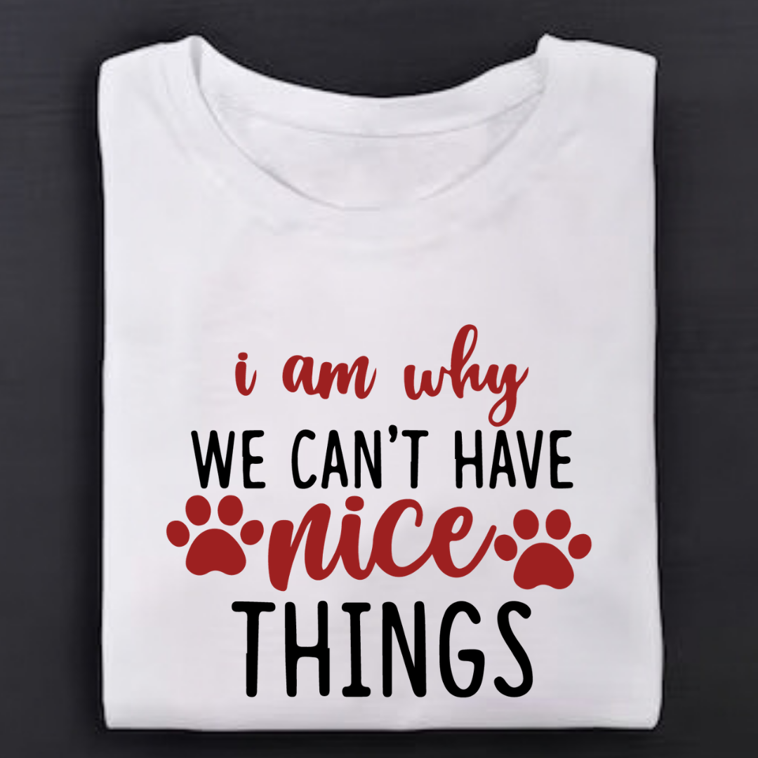I Am why  Can't Have Nice Things