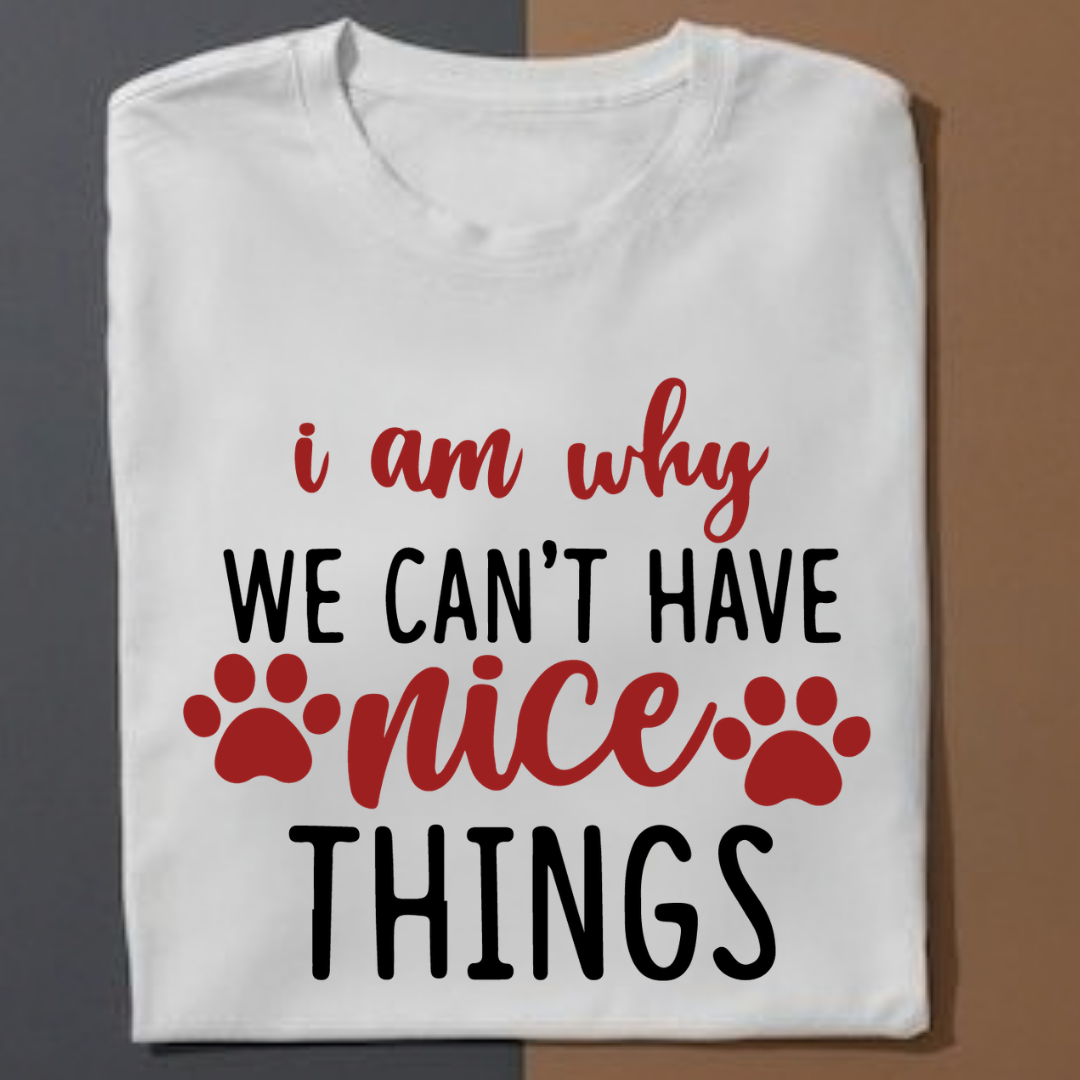 I Am why  Can't Have Nice Things